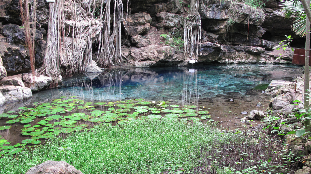 Cenote X’batún